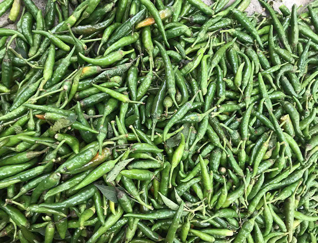 好料