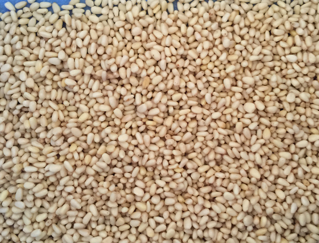 好料