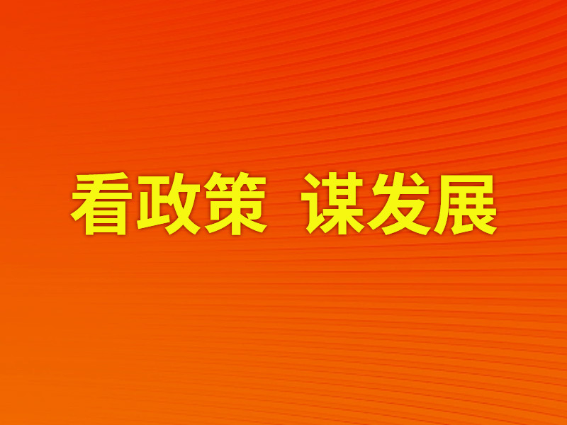 看政策，謀發展
