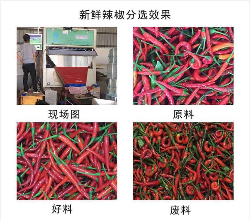 圖片關鍵詞