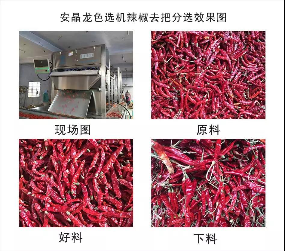 色選機|食品|再生料|礦石|蒜米色選機