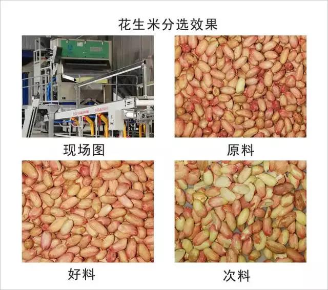 圖片關鍵詞