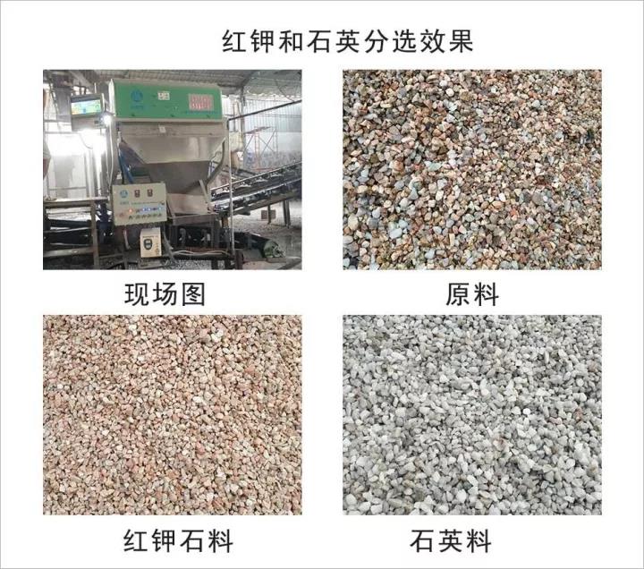 色選機|食品|再生料|礦石|蒜米色選機