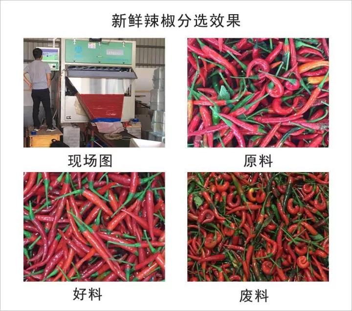 圖片關鍵詞