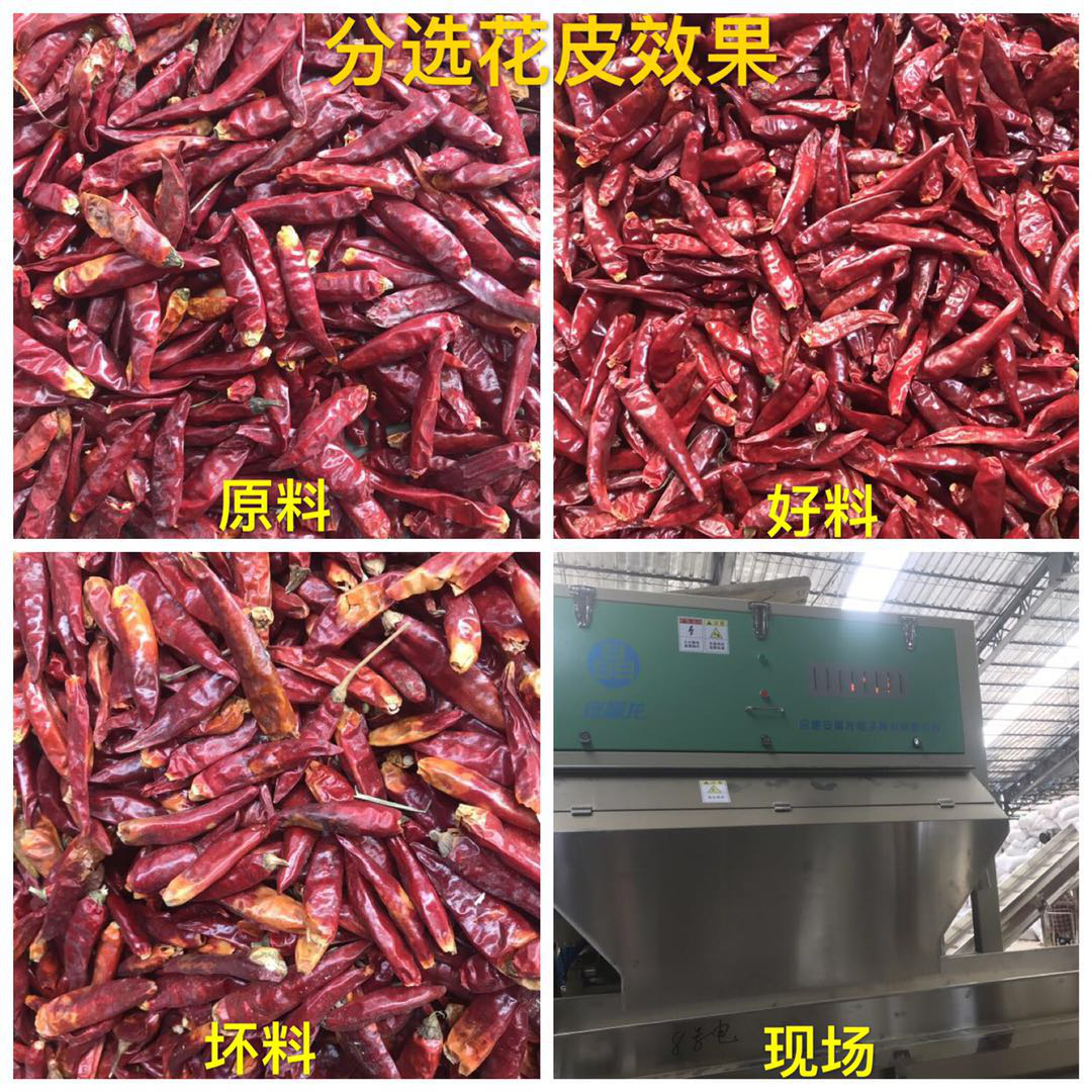 色選機|食品|再生料|礦石|履帶色選機