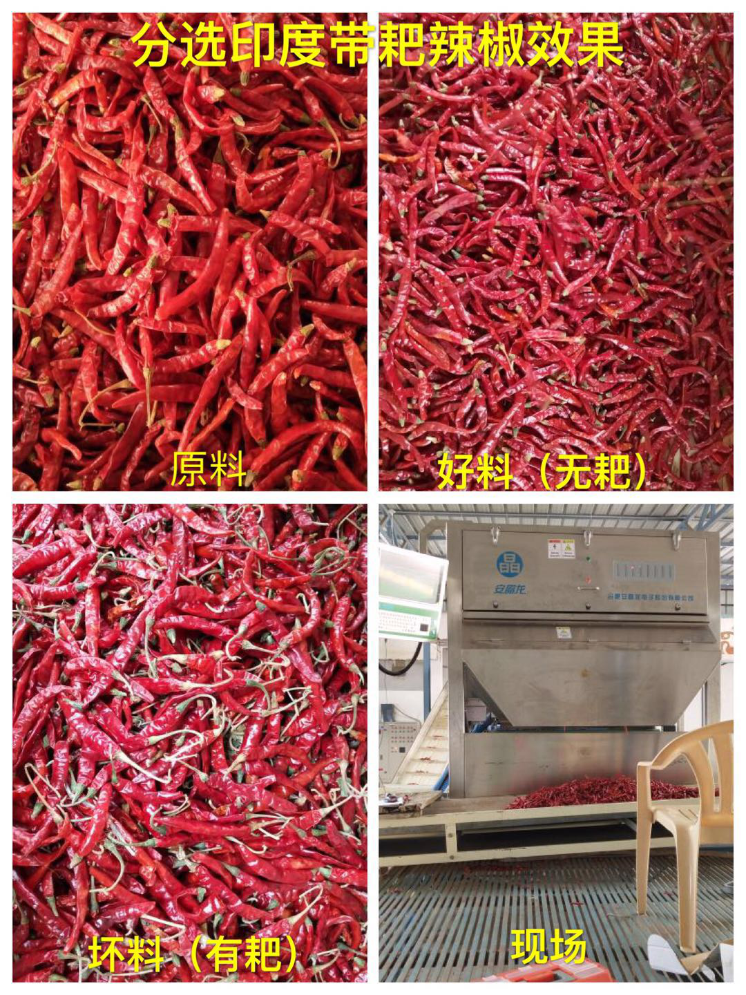圖片關鍵詞