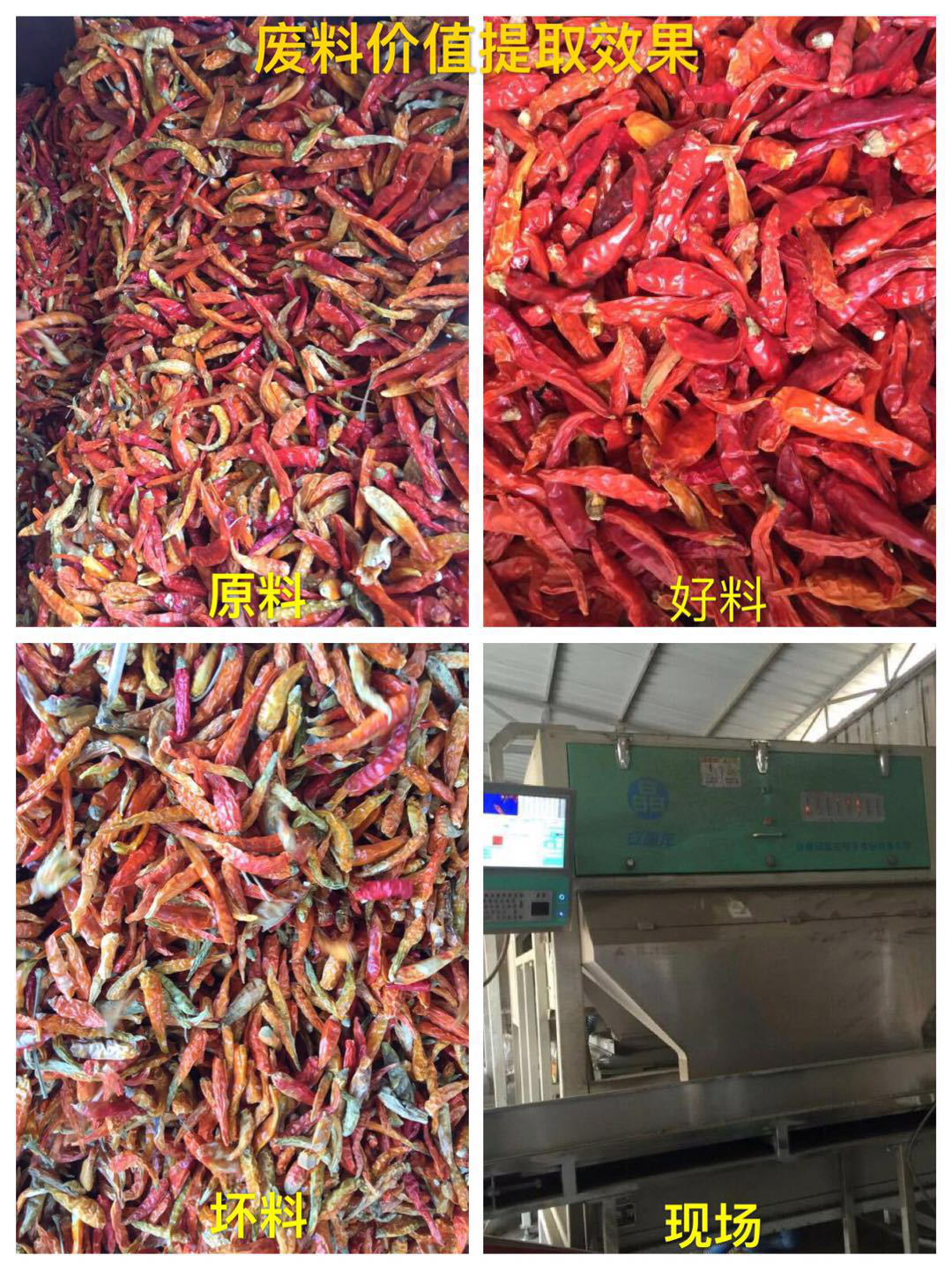 色選機|食品|再生料|礦石|履帶色選機