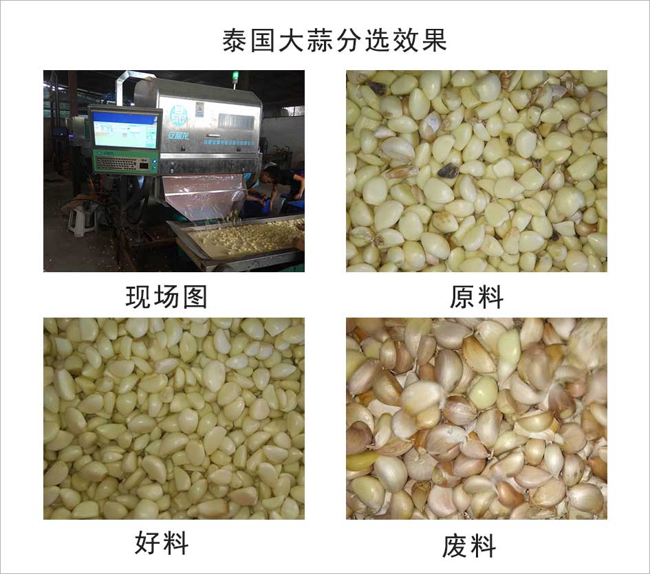 圖片關鍵詞