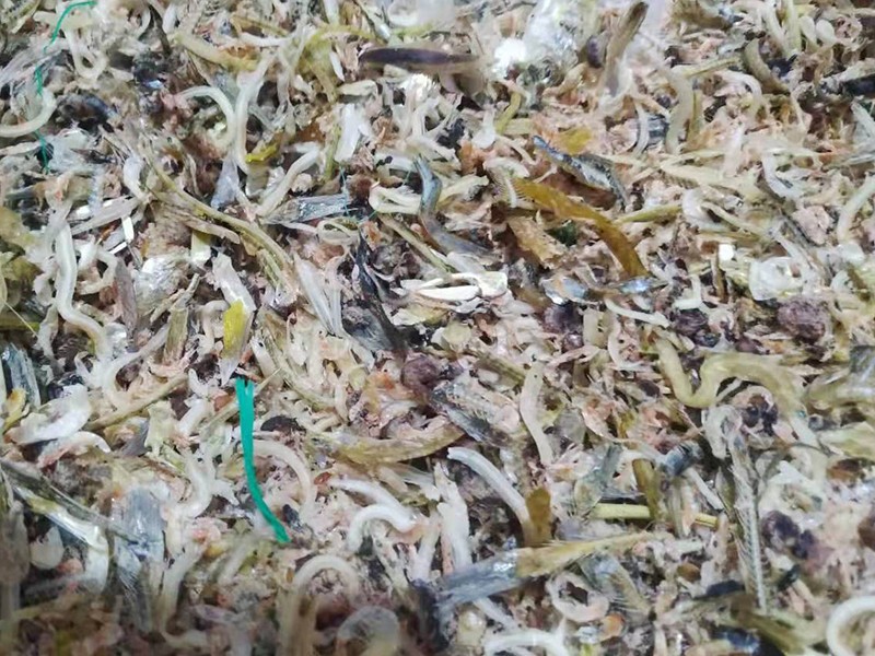 色選機|食品色選機|再生資源色選機|礦石色選機|履帶色選機