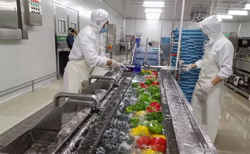 色選機|食品色選機|再生資源色選機|礦石色選機|履帶色選機