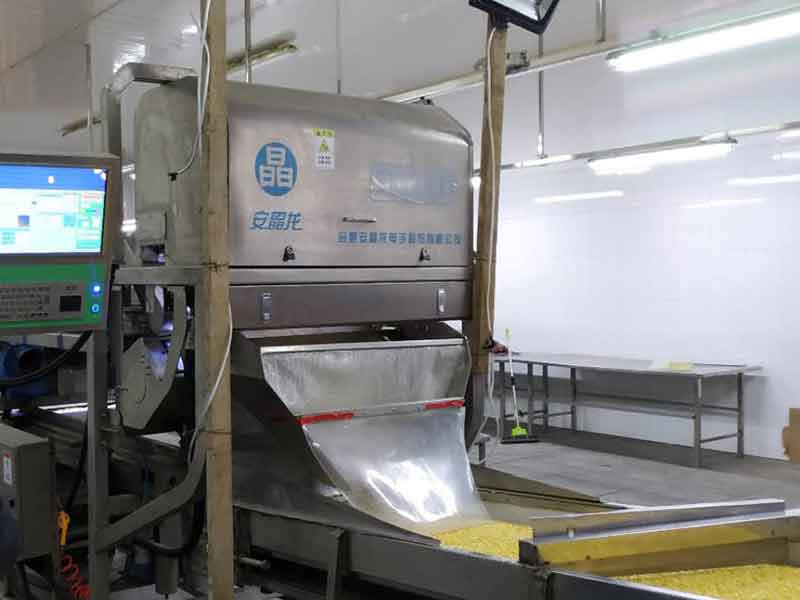 色選機|食品色選機|再生資源色選機|礦石色選機|履帶色選機