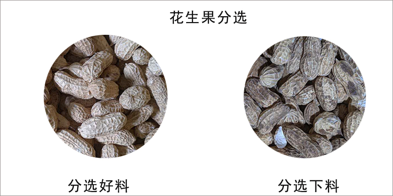 圖片關鍵詞