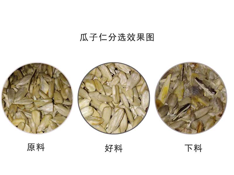 色選機|食品色選機|再生資源色選機|礦石色選機|履帶色選機