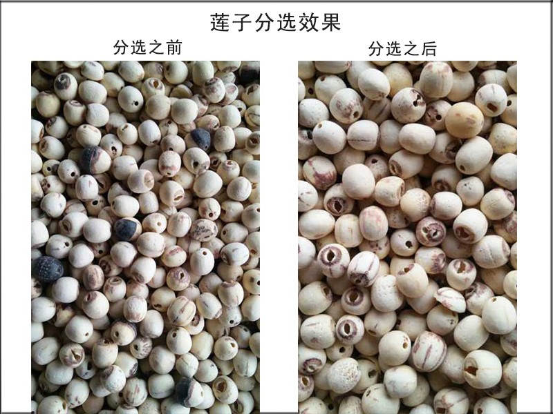 色選機|食品色選機|再生資源色選機|礦石色選機|履帶色選機
