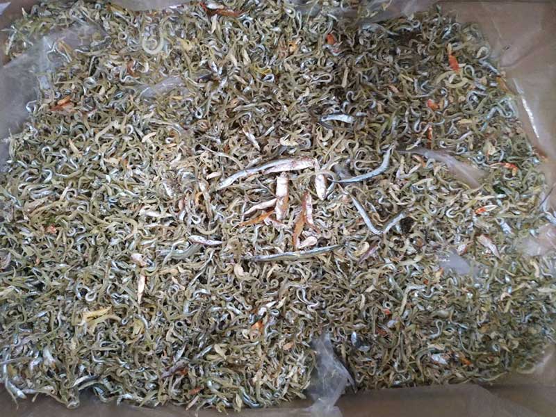 色選機|食品色選機|再生資源色選機|礦石色選機|履帶色選機