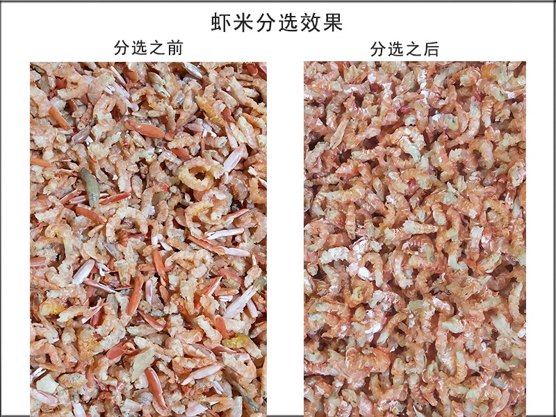 色選機|食品色選機|再生資源色選機|礦石色選機|履帶色選機