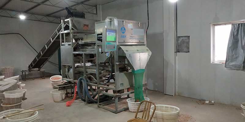 色選機|食品色選機|再生資源色選機|礦石色選機|履帶色選機