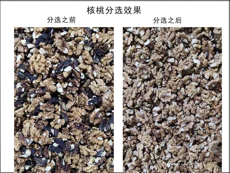 色選機|食品色選機|再生資源色選機|礦石色選機|履帶色選機