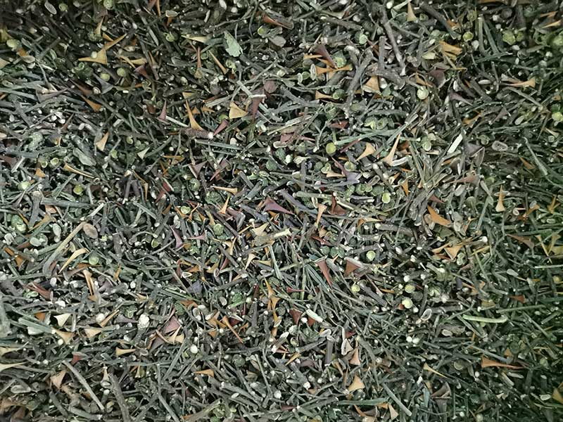 圖片關鍵詞