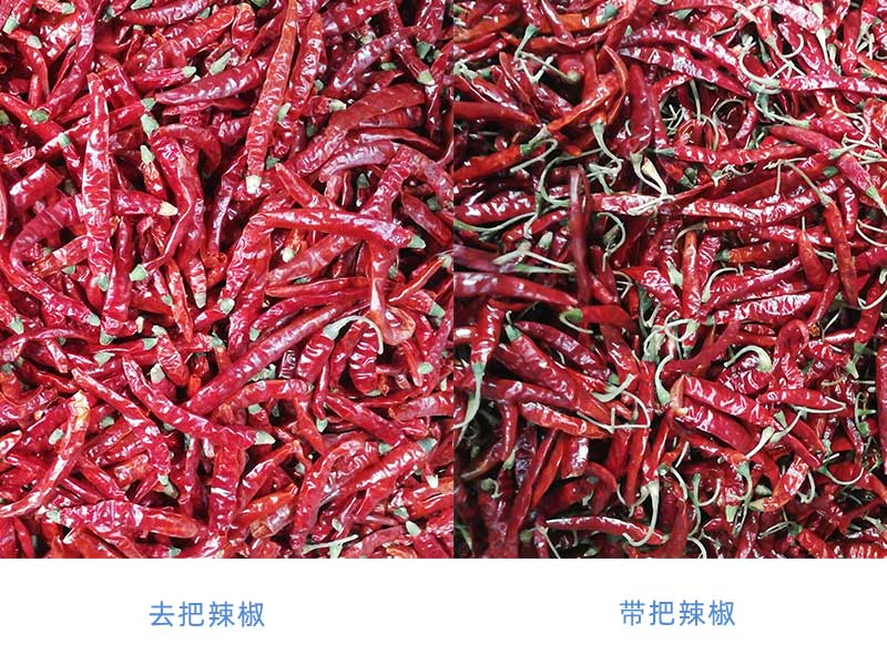 帶把辣椒對比.jpg