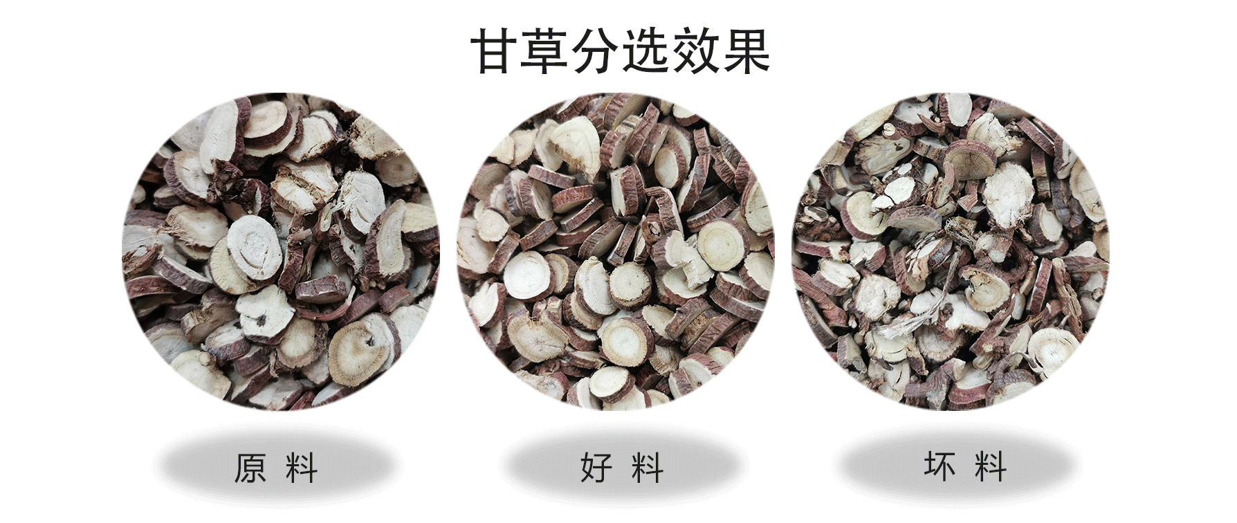 色選機|食品色選機|再生資源色選機|礦石色選機|履帶色選機