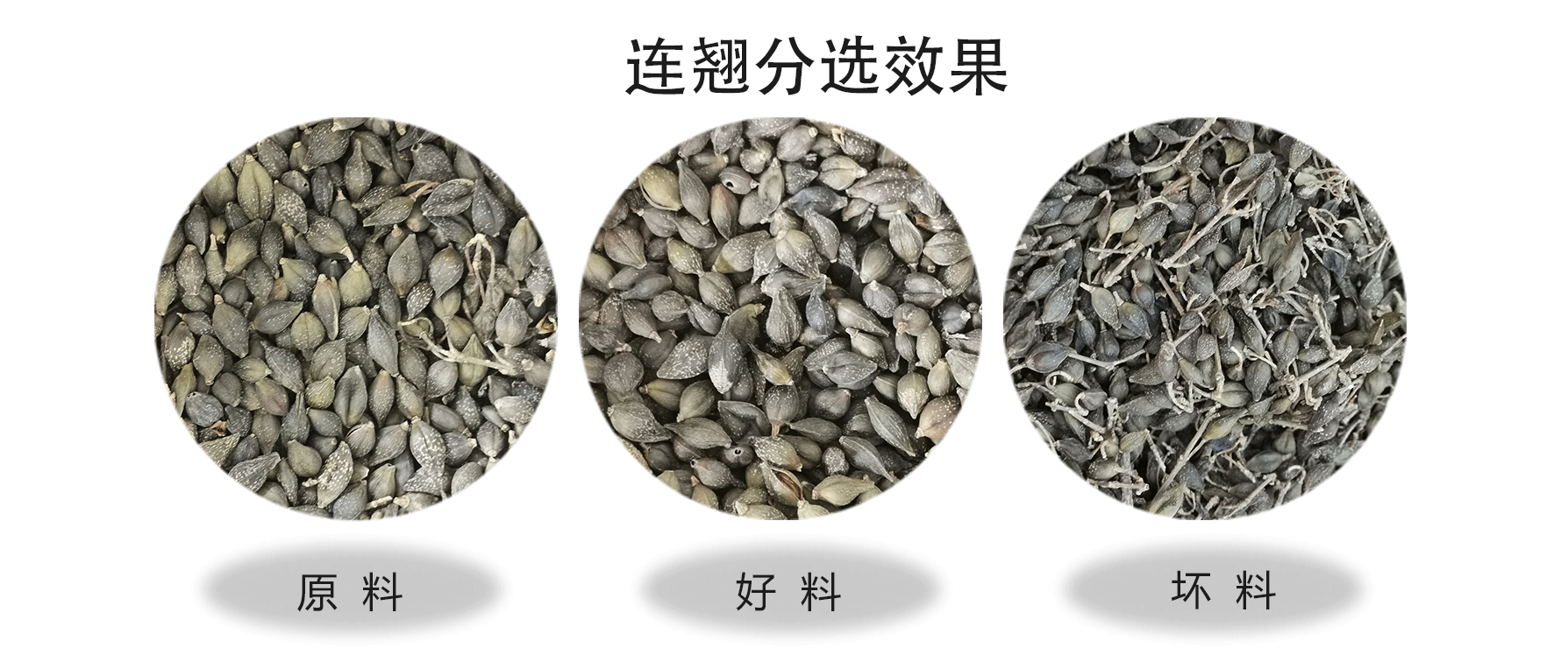 色選機|食品色選機|再生資源色選機|礦石色選機|履帶色選機