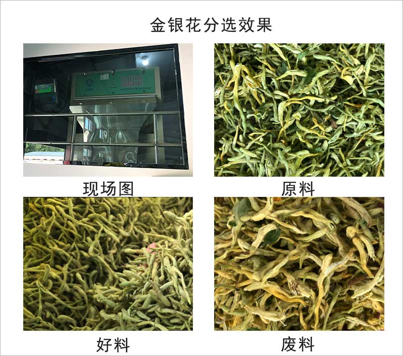 色選機|食品色選機|再生資源色選機|礦石色選機|履帶色選機