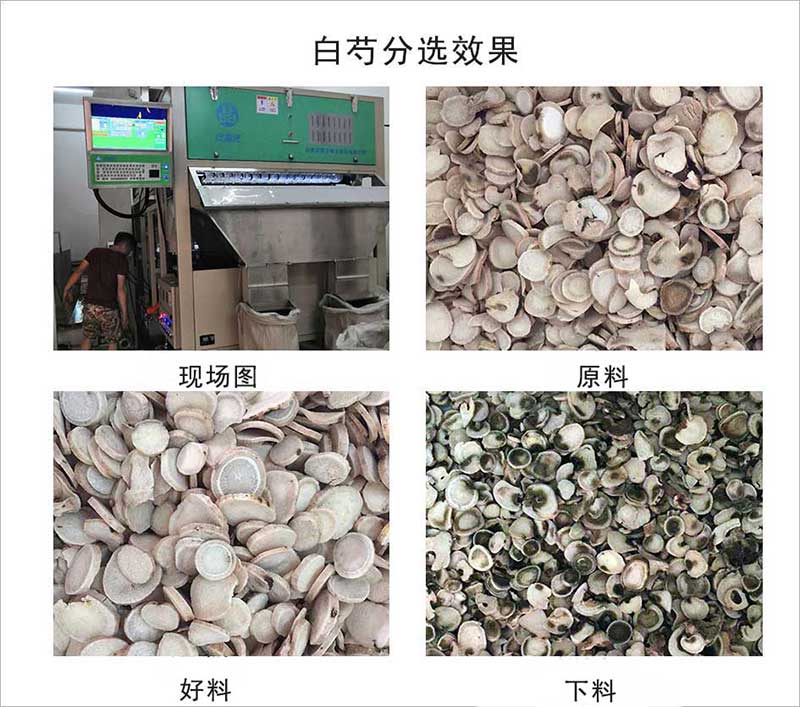 色選機|食品色選機|再生資源色選機|礦石色選機|履帶色選機