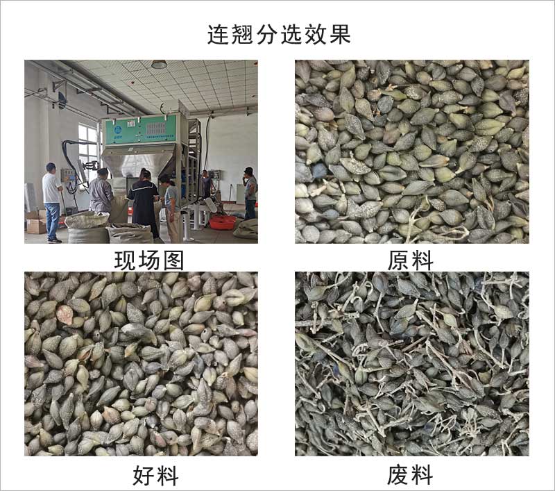 色選機|食品色選機|再生資源色選機|礦石色選機|履帶色選機