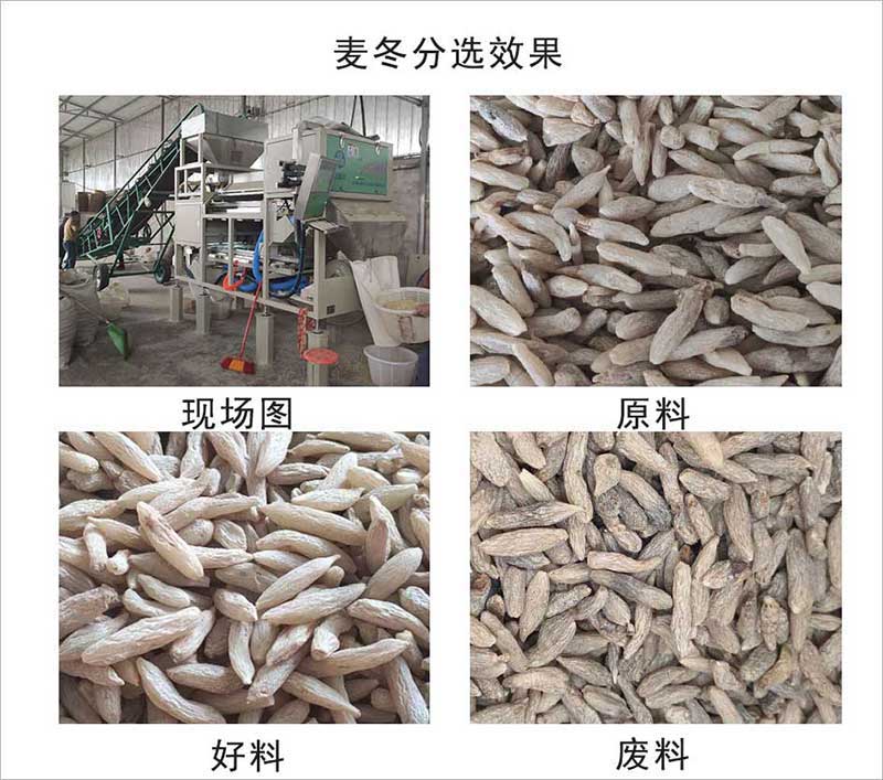 色選機|食品色選機|再生資源色選機|礦石色選機|履帶色選機