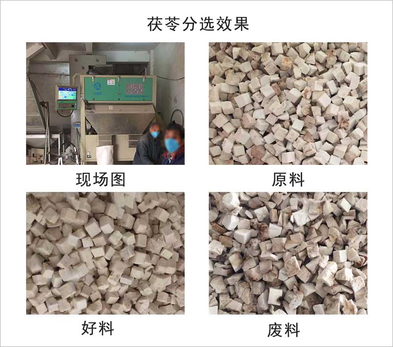 色選機|食品色選機|再生資源色選機|礦石色選機|履帶色選機