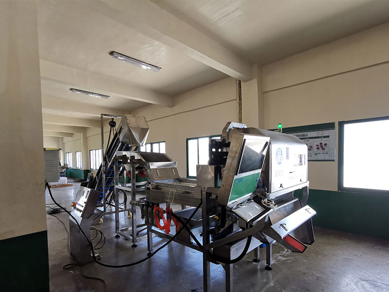 色選機|食品色選機|再生資源色選機|礦石色選機|履帶色選機