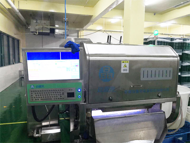 色選機|食品色選機|再生資源色選機|礦石色選機|履帶色選機