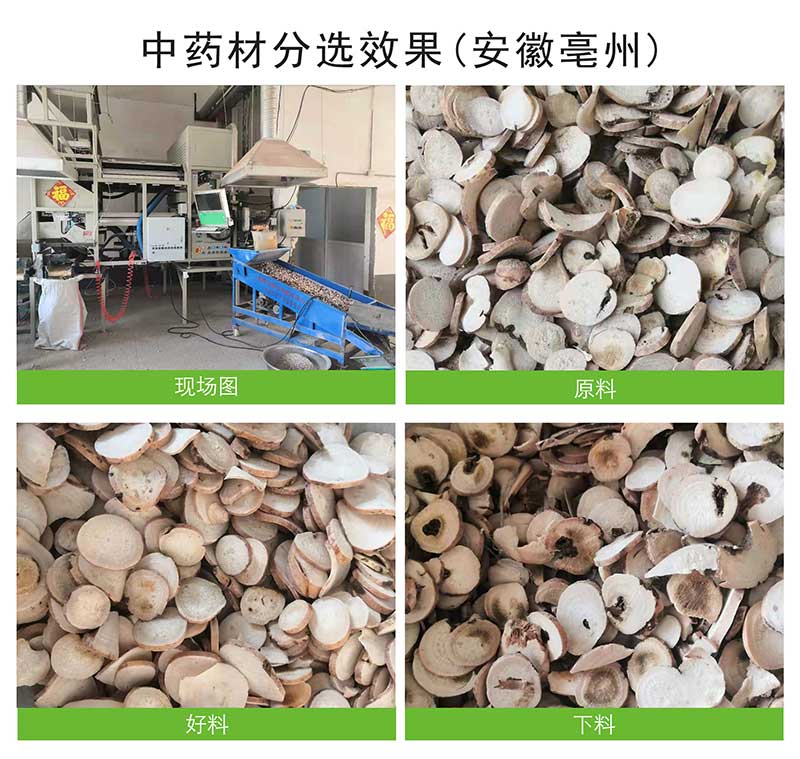 圖片關鍵詞