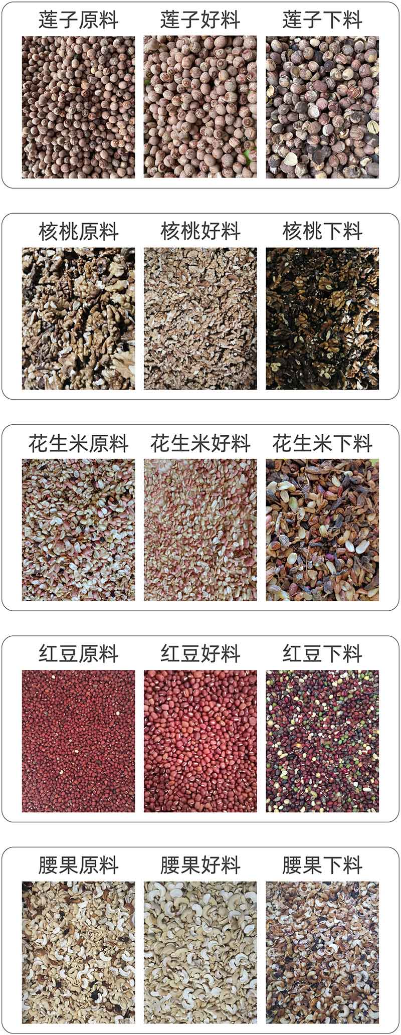 圖片關鍵詞