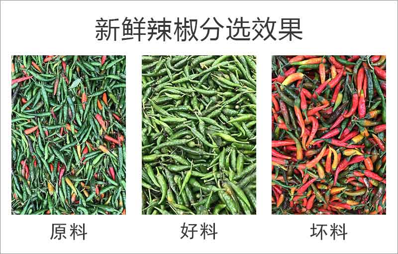 圖片關鍵詞
