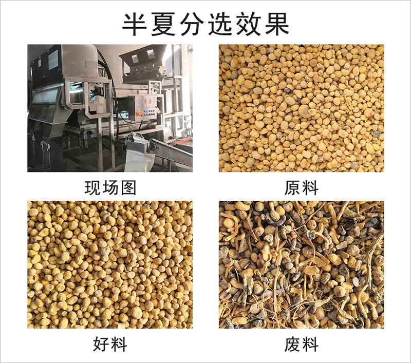圖片關鍵詞
