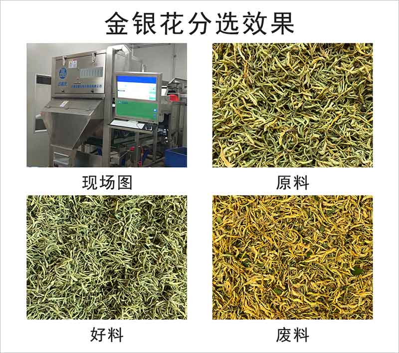 圖片關鍵詞