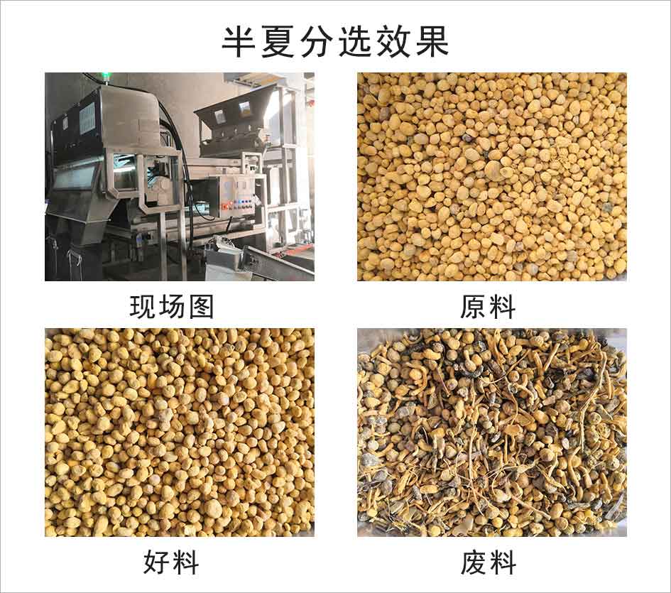 圖片關鍵詞