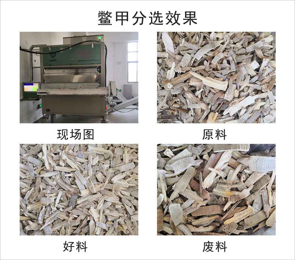 圖片關鍵詞
