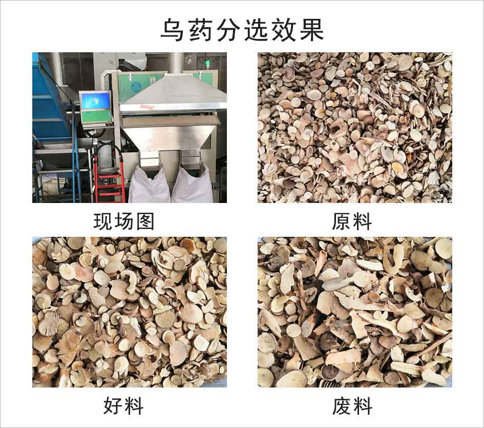 圖片關鍵詞