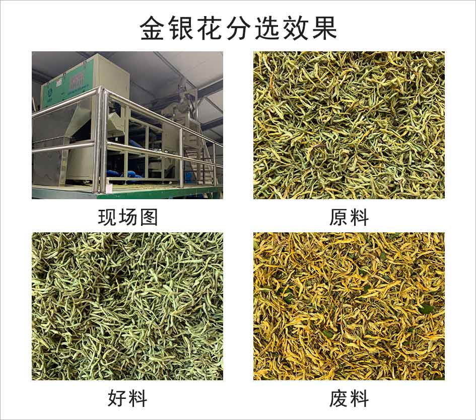 圖片關鍵詞