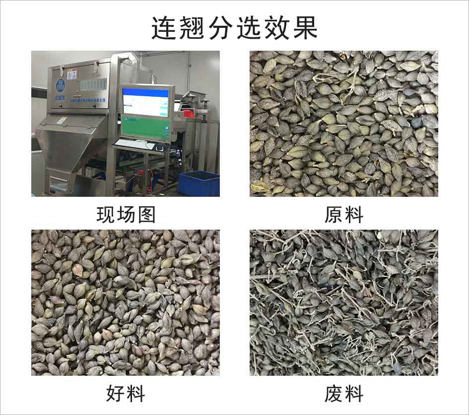 圖片關鍵詞