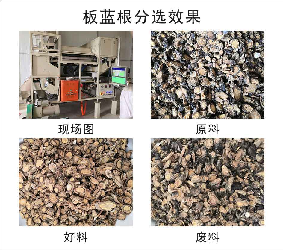 圖片關鍵詞