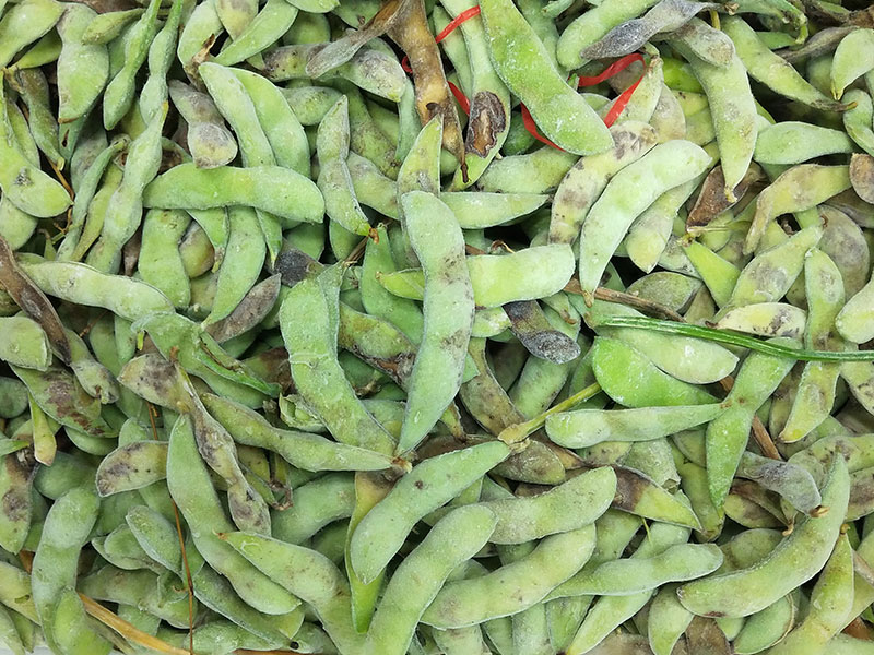 圖片關鍵詞