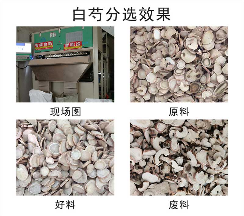 圖片關鍵詞