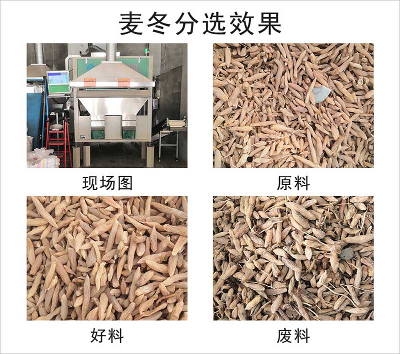 圖片關鍵詞