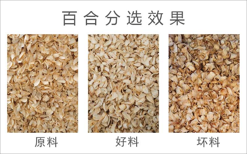 色選機|食品色選機|再生資源色選機|礦石色選機|履帶色選機