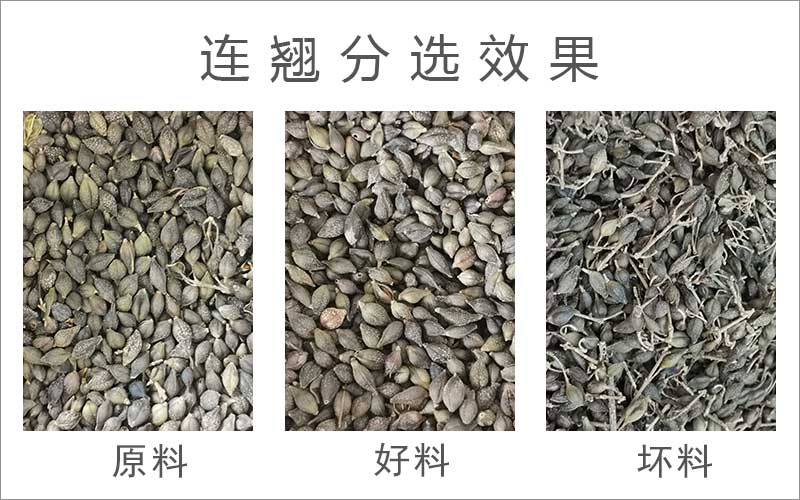 色選機|食品色選機|再生資源色選機|礦石色選機|履帶色選機
