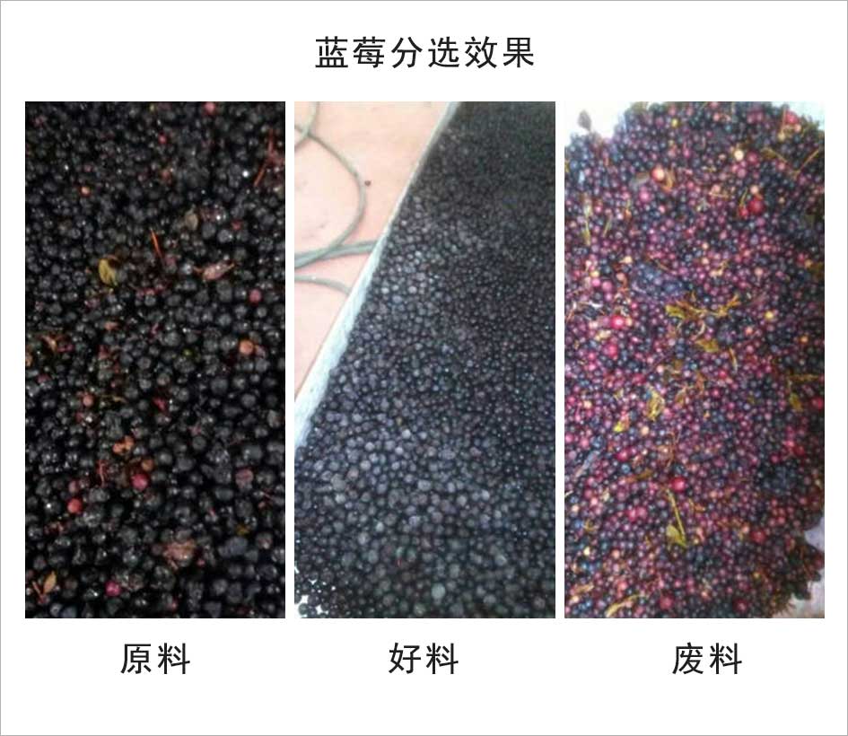 圖片關鍵詞